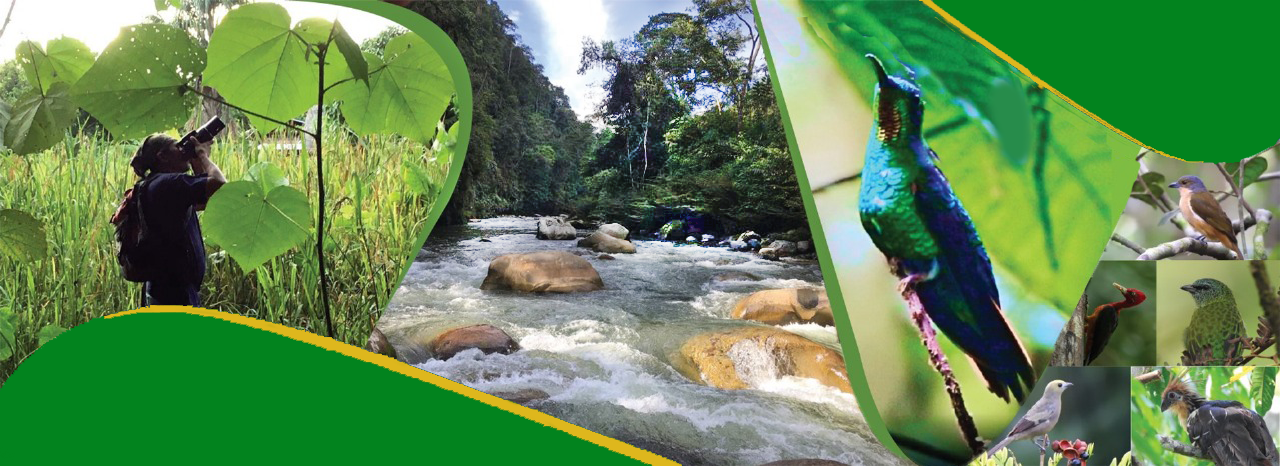 Banner de turismo