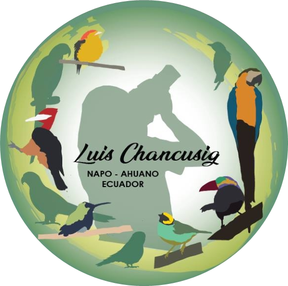Ahuanoruna